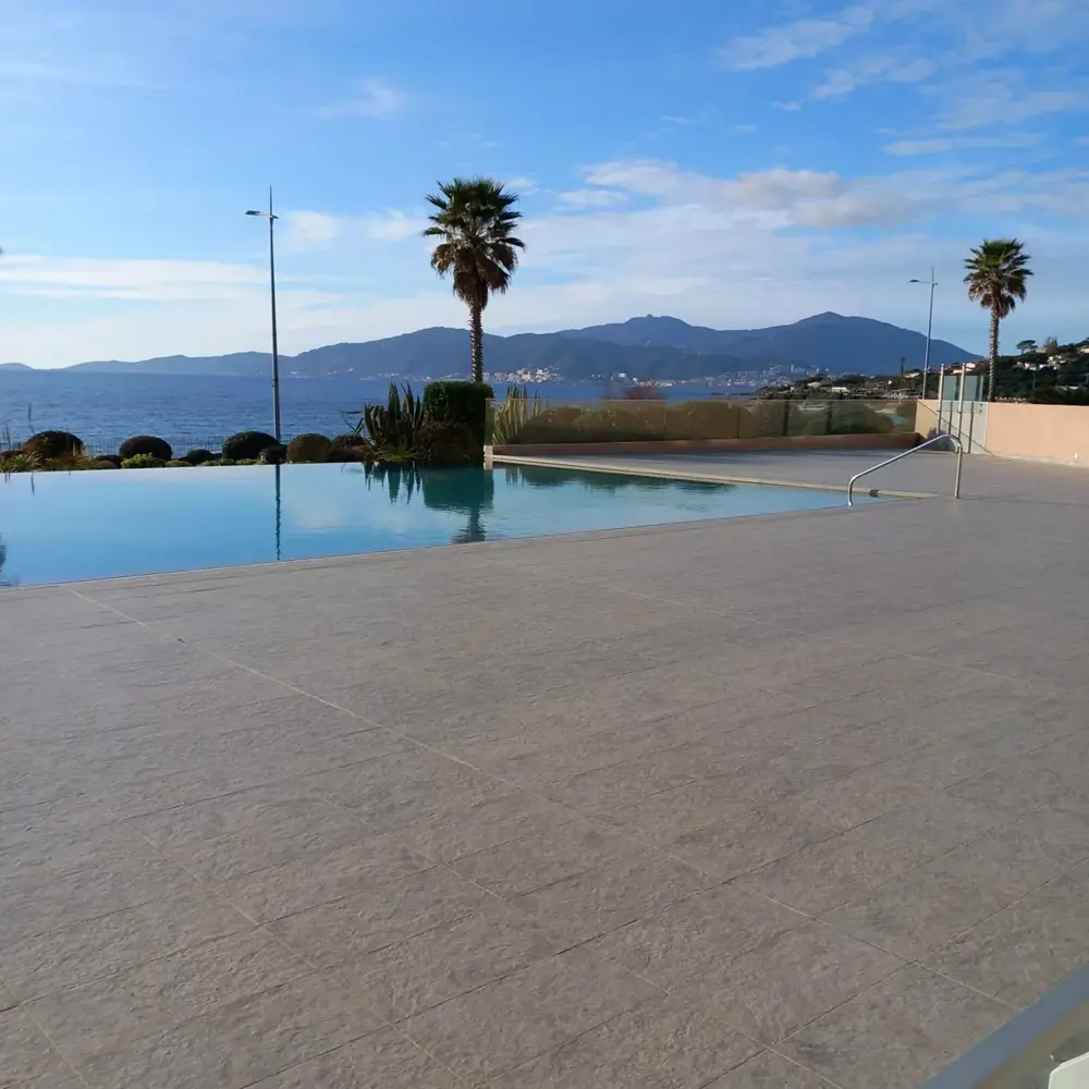 Piscine à débordement avec vue sur la mer et palmiers